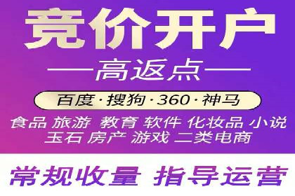 揭秘SEM竞价托管：实战案例深度解析